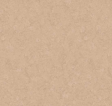 Loymina Shade SD3 002/2